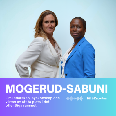 Mogerud-Sabuni